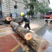 Des pompiers scient un arbre tombé sur Alkotmány utca à cause du violent orage qui a touché Budapest le 14 juin. (Photo : MTI/Mihádák Zoltán)